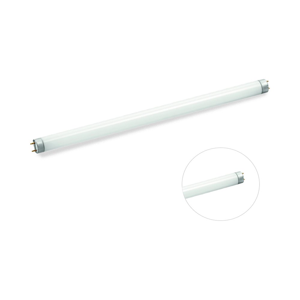 White fluorescent tube shown at an angle with a round close-up inset — T5 vs T8 tubes: diameter, length and base differences
